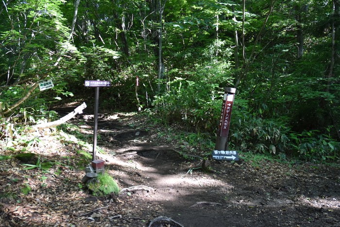 f:id:threepeaks:20200809154647j:plain f:id:threepeaks:20200809154647j:plain