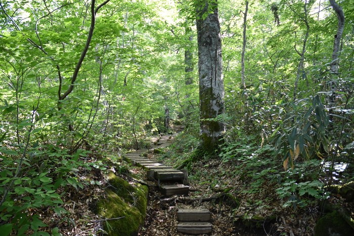 f:id:threepeaks:20200809155636j:plain f:id:threepeaks:20200809155636j:plain