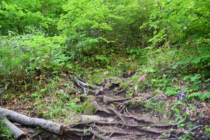 f:id:threepeaks:20200809155800j:plain f:id:threepeaks:20200809155800j:plain