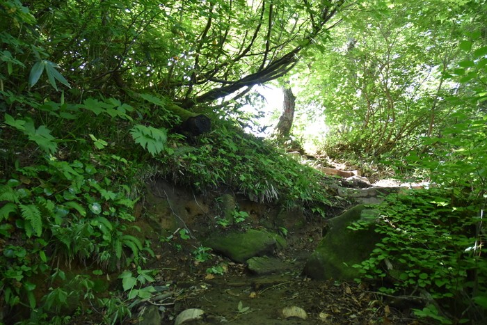 f:id:threepeaks:20200809160104j:plain f:id:threepeaks:20200809160104j:plain