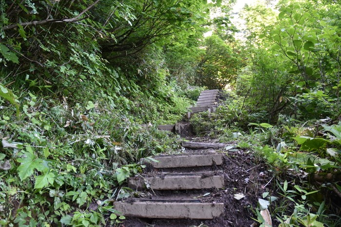 f:id:threepeaks:20200809160238j:plain f:id:threepeaks:20200809160238j:plain