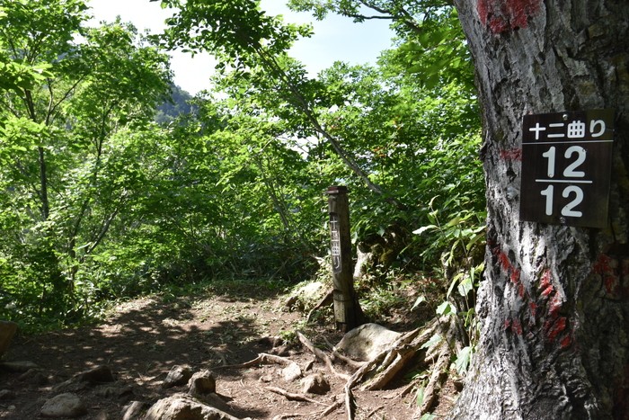 f:id:threepeaks:20200809160402j:plain f:id:threepeaks:20200809160402j:plain