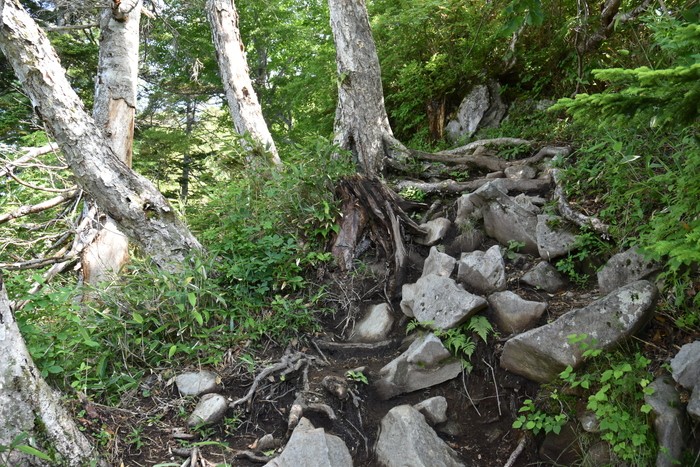 f:id:threepeaks:20200809160628j:plain f:id:threepeaks:20200809160628j:plain