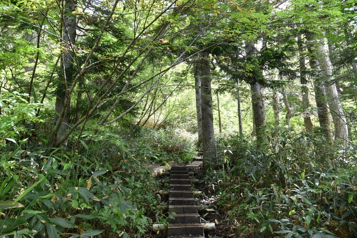 f:id:threepeaks:20200809161722j:plain f:id:threepeaks:20200809161722j:plain