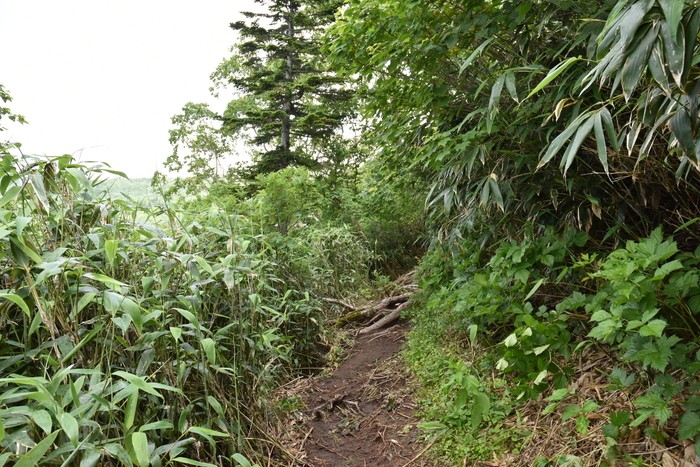 f:id:threepeaks:20200809164445j:plain f:id:threepeaks:20200809164445j:plain