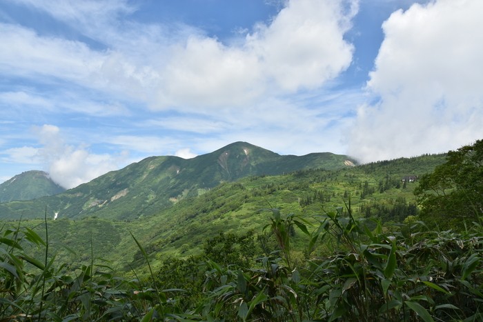 f:id:threepeaks:20200809164553j:plain f:id:threepeaks:20200809164553j:plain