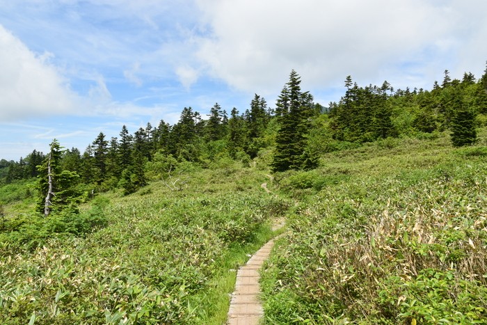 f:id:threepeaks:20200809173434j:plain f:id:threepeaks:20200809173434j:plain