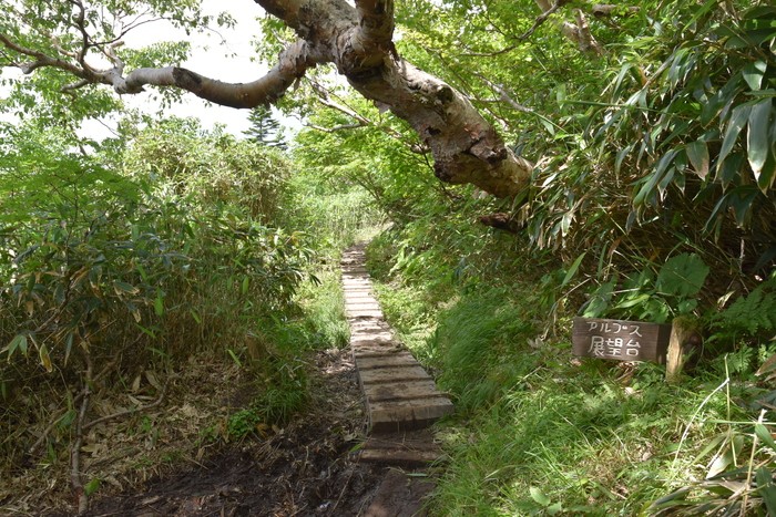 f:id:threepeaks:20200809173504j:plain f:id:threepeaks:20200809173504j:plain