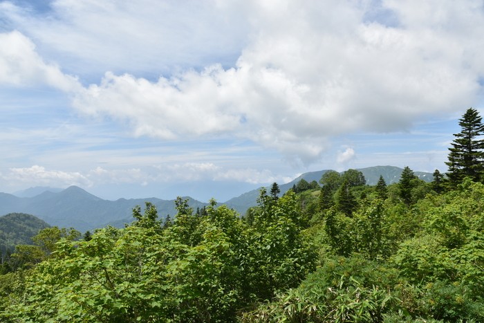 f:id:threepeaks:20200809173633j:plain f:id:threepeaks:20200809173633j:plain