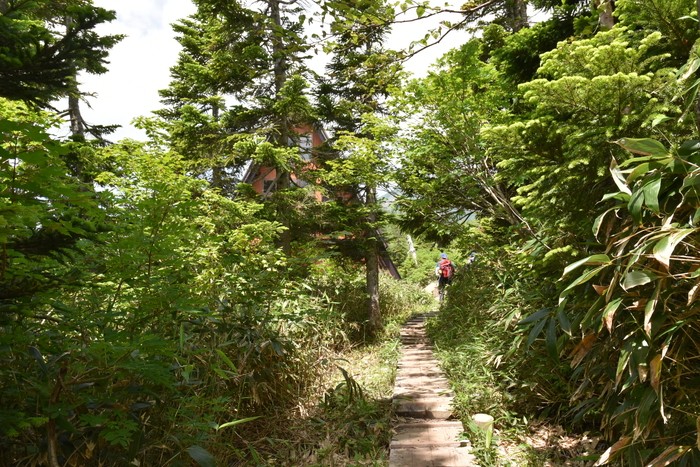 f:id:threepeaks:20200809173756j:plain f:id:threepeaks:20200809173756j:plain