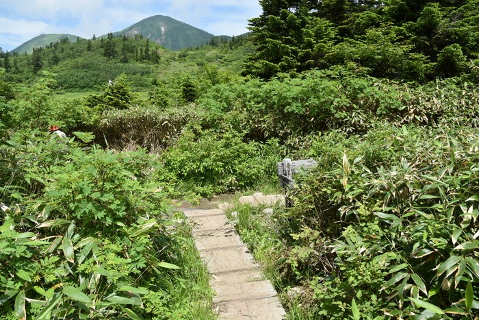 f:id:threepeaks:20200809174039j:plain f:id:threepeaks:20200809174039j:plain