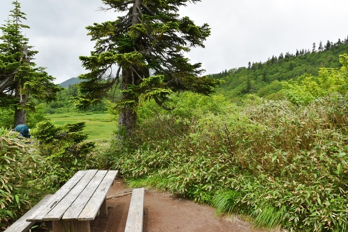 f:id:threepeaks:20200809174921j:plain f:id:threepeaks:20200809174921j:plain