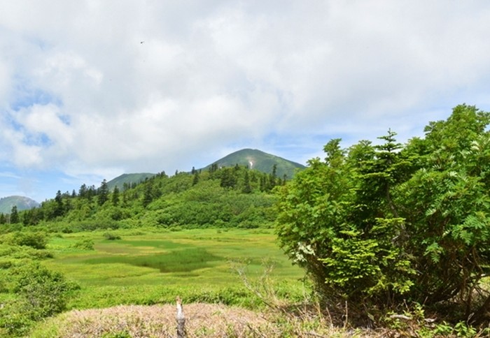 f:id:threepeaks:20200809205121j:plain f:id:threepeaks:20200809205121j:plain