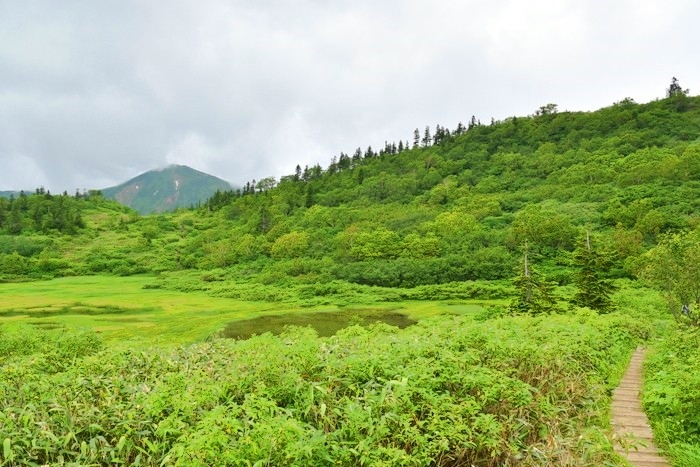 f:id:threepeaks:20200809205727j:plain f:id:threepeaks:20200809205727j:plain