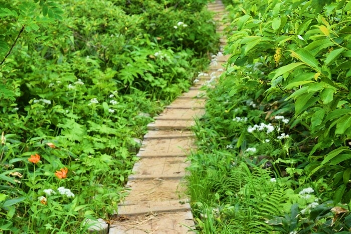 f:id:threepeaks:20200809205745j:plain f:id:threepeaks:20200809205745j:plain