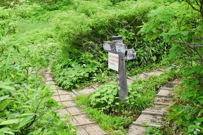 f:id:threepeaks:20200809205803j:plain f:id:threepeaks:20200809205803j:plain