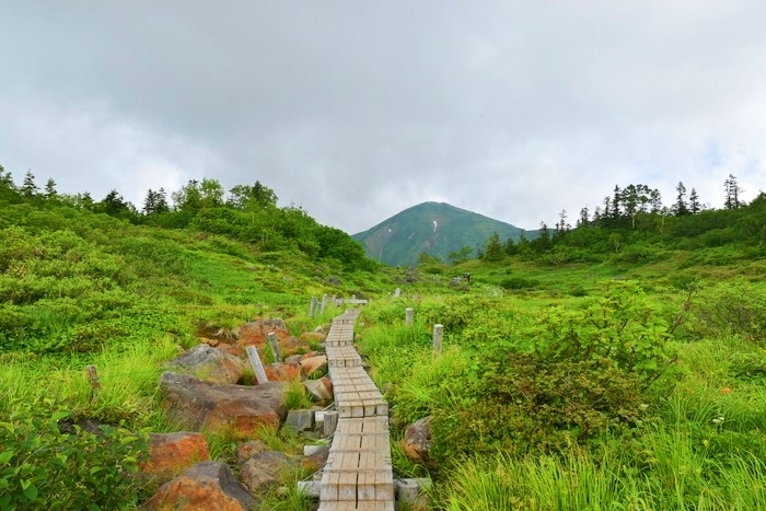 f:id:threepeaks:20200809210151j:plain f:id:threepeaks:20200809210151j:plain