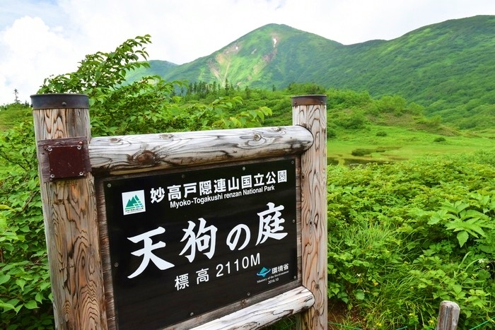 f:id:threepeaks:20200809210242j:plain f:id:threepeaks:20200809210242j:plain