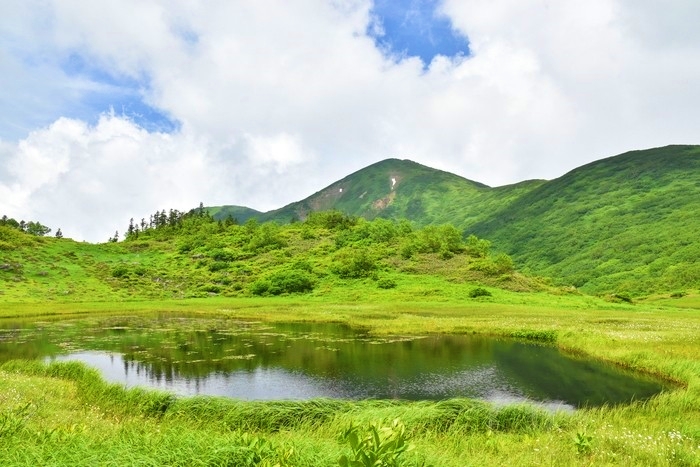 f:id:threepeaks:20200809210343j:plain f:id:threepeaks:20200809210343j:plain