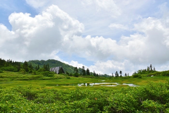 f:id:threepeaks:20200809210448j:plain f:id:threepeaks:20200809210448j:plain