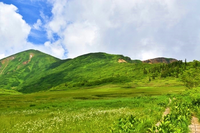 f:id:threepeaks:20200809210546j:plain f:id:threepeaks:20200809210546j:plain