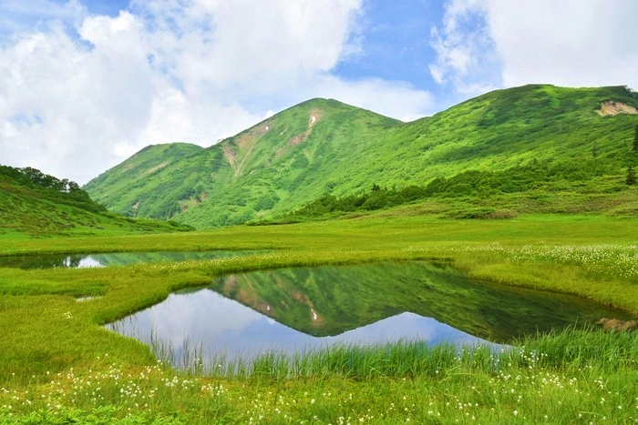 f:id:threepeaks:20200809211506j:plain f:id:threepeaks:20200809211506j:plain