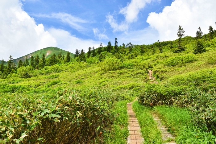 f:id:threepeaks:20200809211615j:plain f:id:threepeaks:20200809211615j:plain