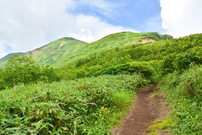 f:id:threepeaks:20200809211755j:plain f:id:threepeaks:20200809211755j:plain