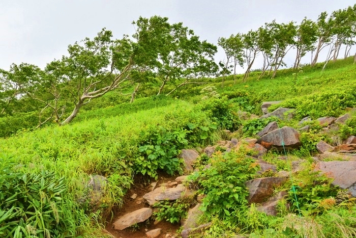 f:id:threepeaks:20200809212001j:plain f:id:threepeaks:20200809212001j:plain