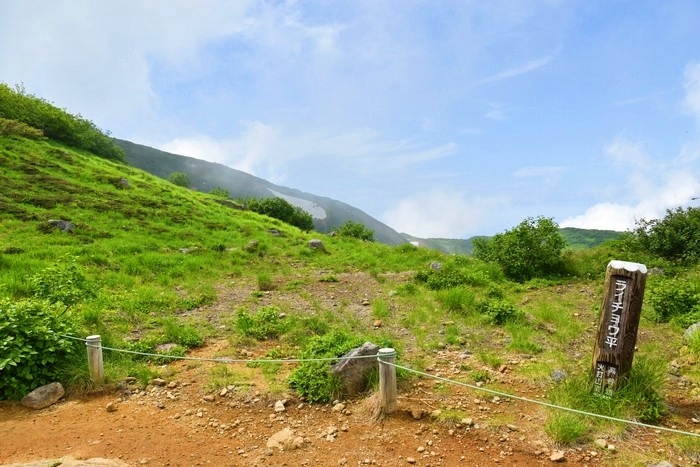 f:id:threepeaks:20200809212246j:plain f:id:threepeaks:20200809212246j:plain