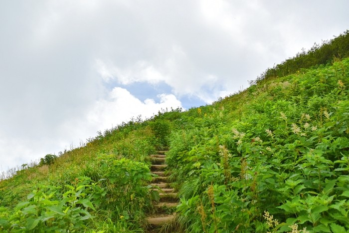 f:id:threepeaks:20200809212701j:plain f:id:threepeaks:20200809212701j:plain