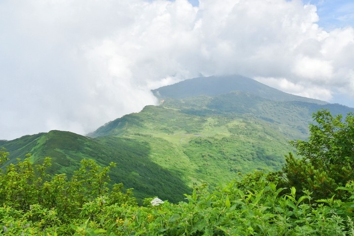 f:id:threepeaks:20200809213350j:plain f:id:threepeaks:20200809213350j:plain