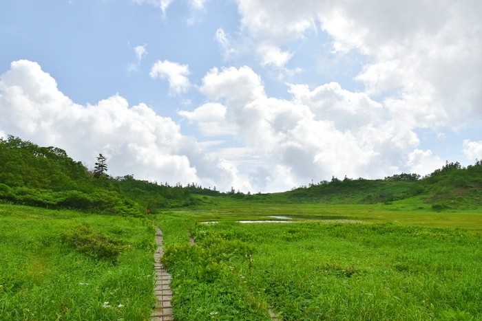 f:id:threepeaks:20200809214010j:plain f:id:threepeaks:20200809214010j:plain