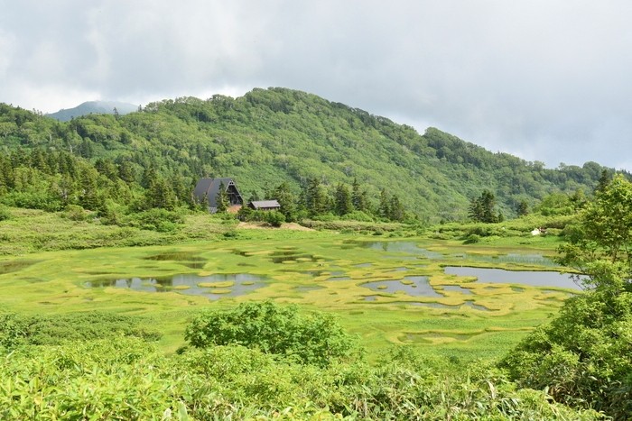 f:id:threepeaks:20200809214059j:plain f:id:threepeaks:20200809214059j:plain