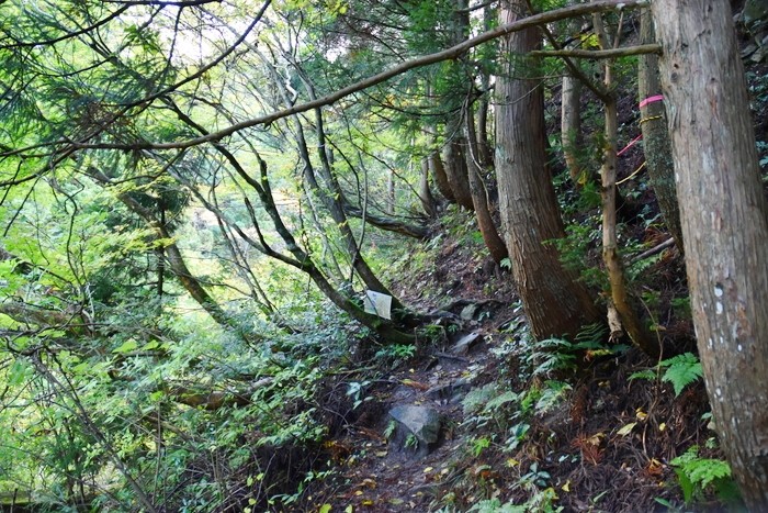 f:id:threepeaks:20201104212502j:plain f:id:threepeaks:20201104212502j:plain