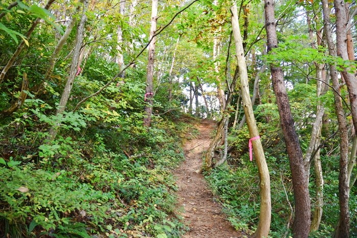 f:id:threepeaks:20201104212837j:plain f:id:threepeaks:20201104212837j:plain