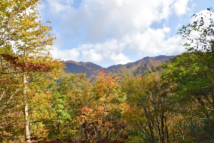 f:id:threepeaks:20201105204402j:plain f:id:threepeaks:20201105204402j:plain