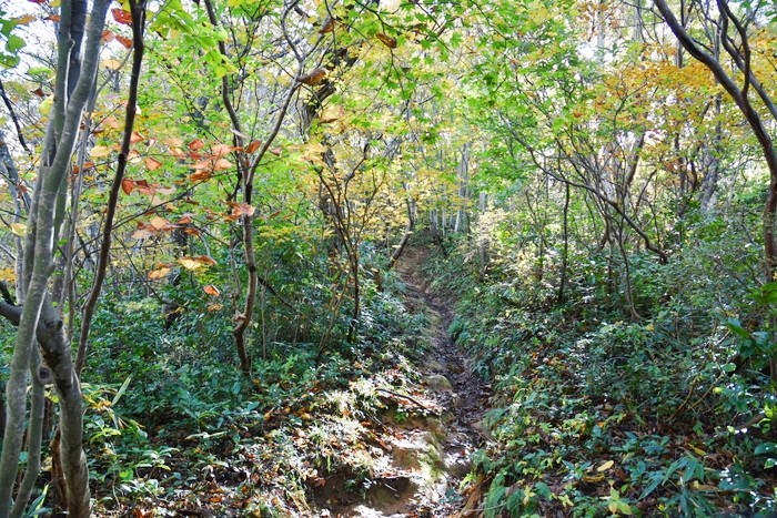 f:id:threepeaks:20201105204817j:plain f:id:threepeaks:20201105204817j:plain