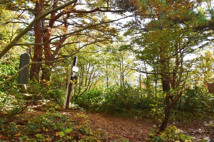 f:id:threepeaks:20201105205508j:plain f:id:threepeaks:20201105205508j:plain