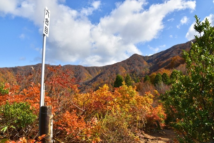 f:id:threepeaks:20201105211127j:plain f:id:threepeaks:20201105211127j:plain