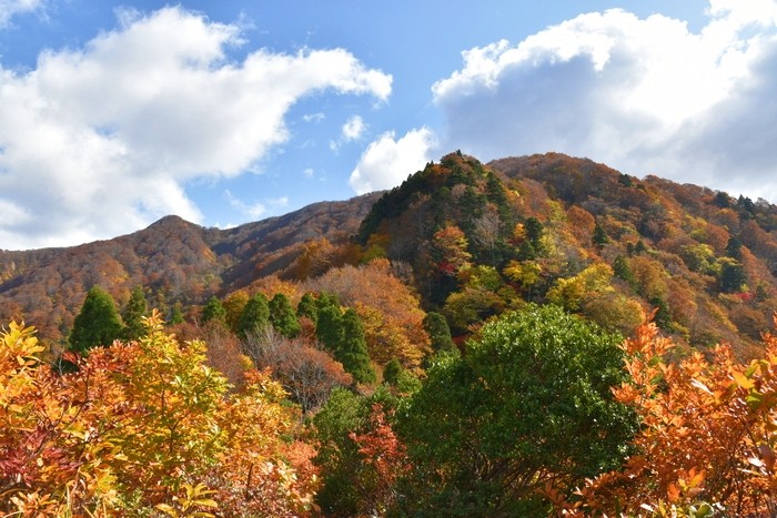 f:id:threepeaks:20201105211306j:plain f:id:threepeaks:20201105211306j:plain