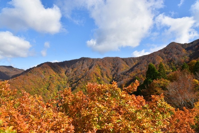 f:id:threepeaks:20201105211932j:plain f:id:threepeaks:20201105211932j:plain