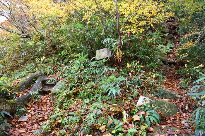 f:id:threepeaks:20201105212050j:plain f:id:threepeaks:20201105212050j:plain