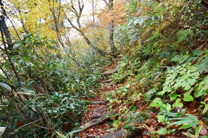 f:id:threepeaks:20201105212215j:plain f:id:threepeaks:20201105212215j:plain