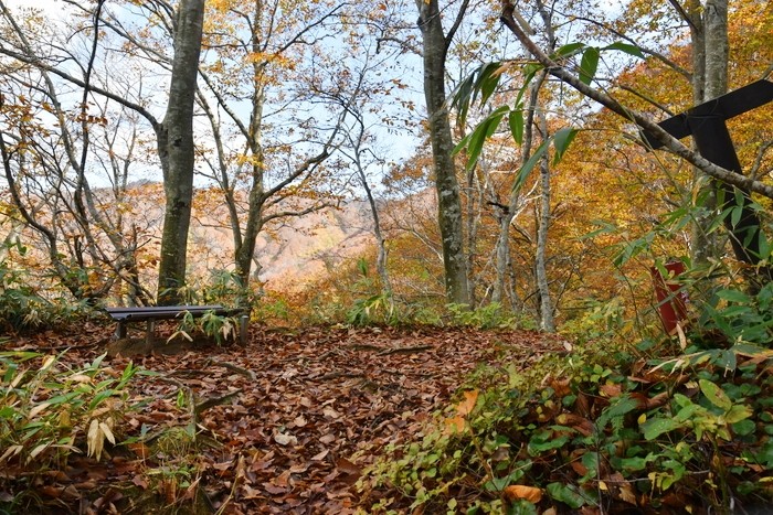 f:id:threepeaks:20201105212323j:plain f:id:threepeaks:20201105212323j:plain