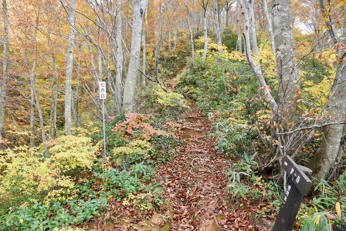 f:id:threepeaks:20201105212418j:plain f:id:threepeaks:20201105212418j:plain