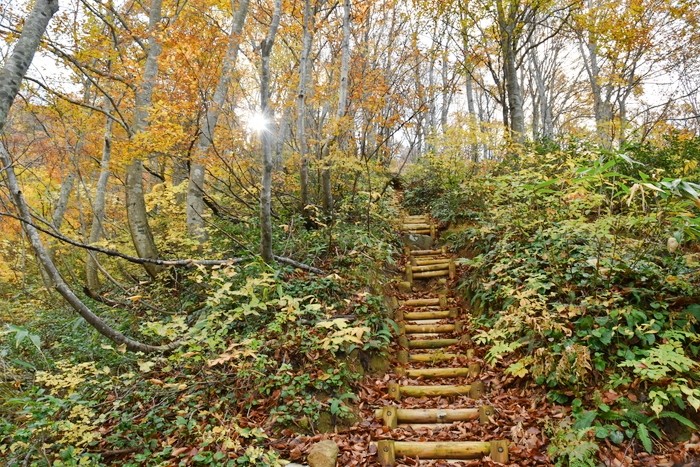 f:id:threepeaks:20201105212524j:plain f:id:threepeaks:20201105212524j:plain