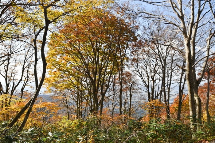 f:id:threepeaks:20201105213054j:plain f:id:threepeaks:20201105213054j:plain