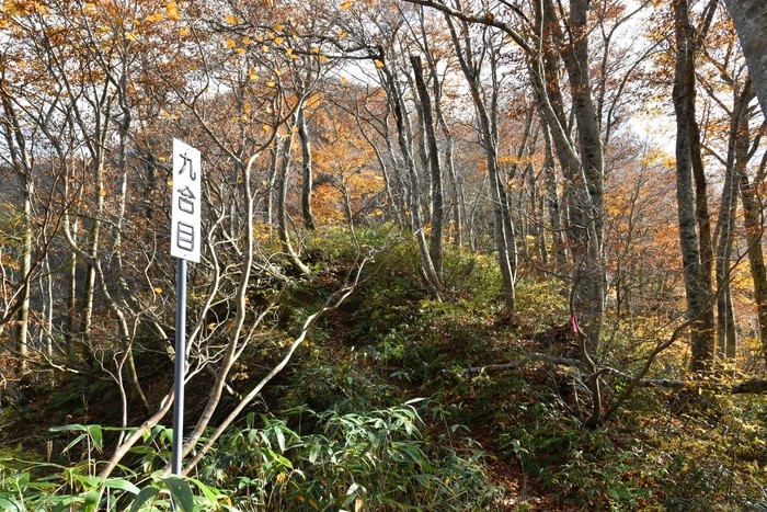 f:id:threepeaks:20201105213413j:plain f:id:threepeaks:20201105213413j:plain