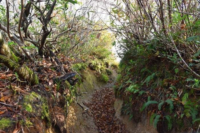 f:id:threepeaks:20201105213522j:plain f:id:threepeaks:20201105213522j:plain